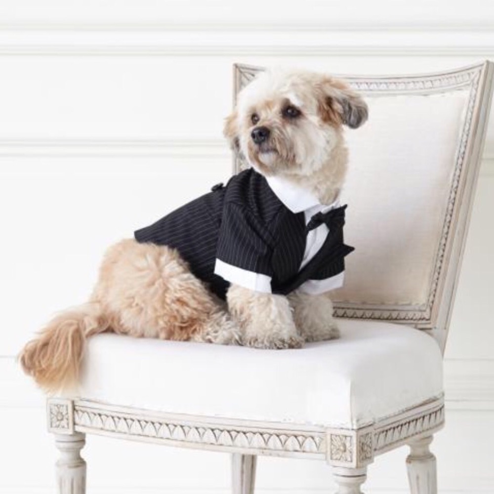 Dog suit. Size M